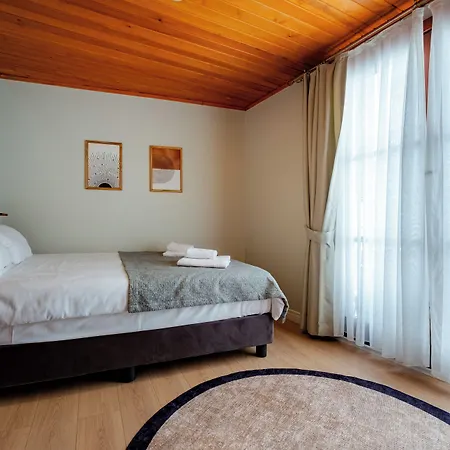 Koala Provincia di Istanbul